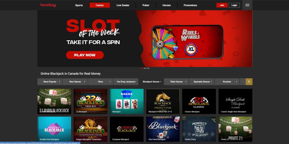 Bodog casino blackjack